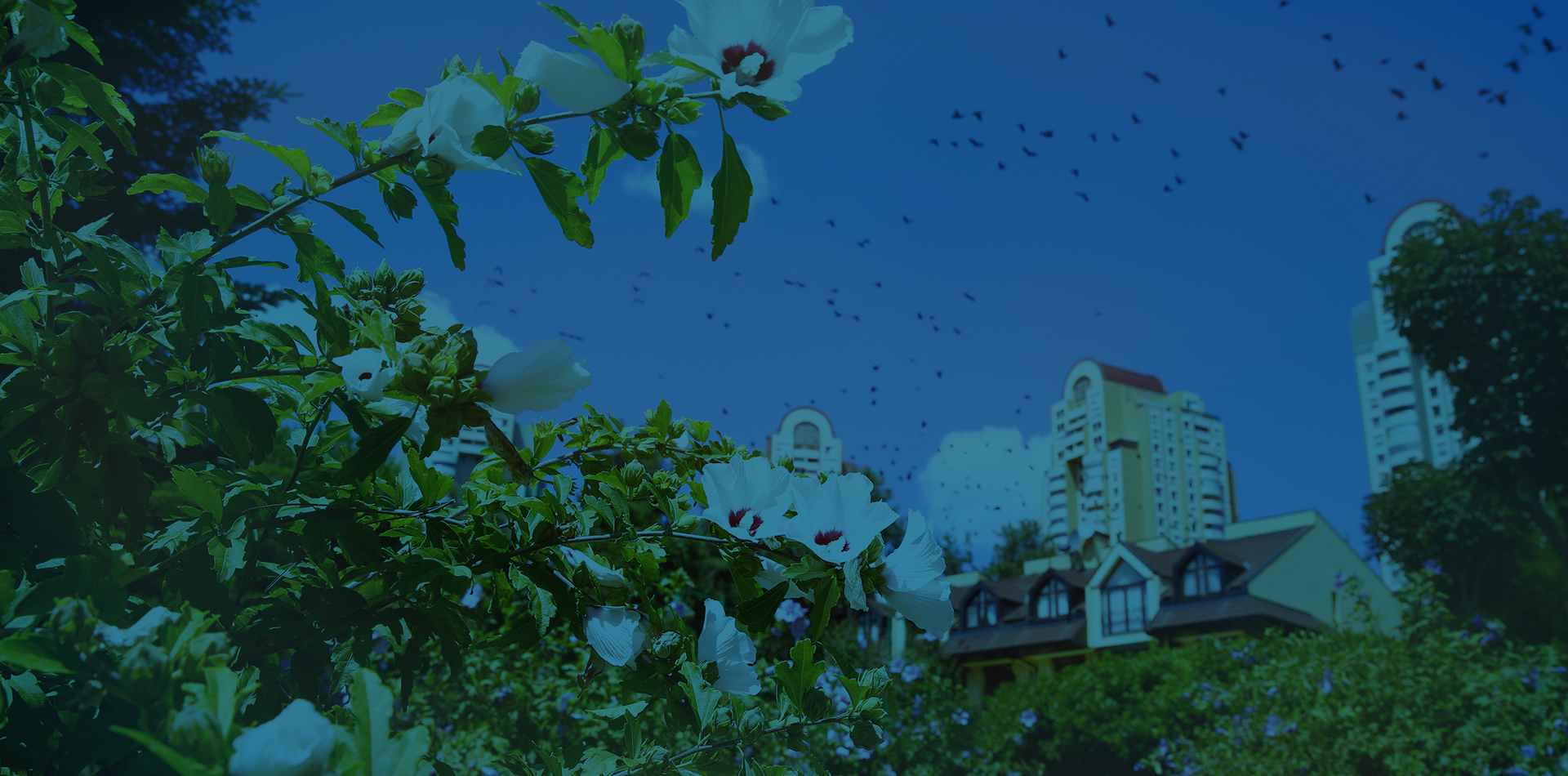 Doğayla iç içe Şehir