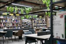 yasinkartoglu0140 17 11 25644