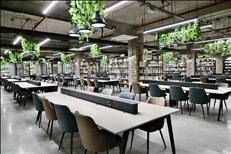 yasinkartoglu0142 17 11 25565